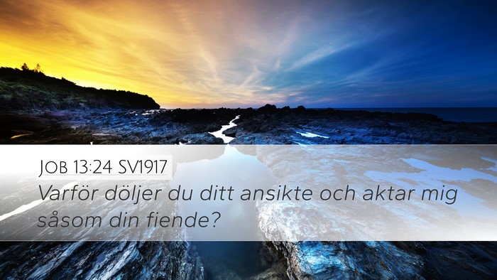 Job 13:24 SV1917 Bible Verse Image