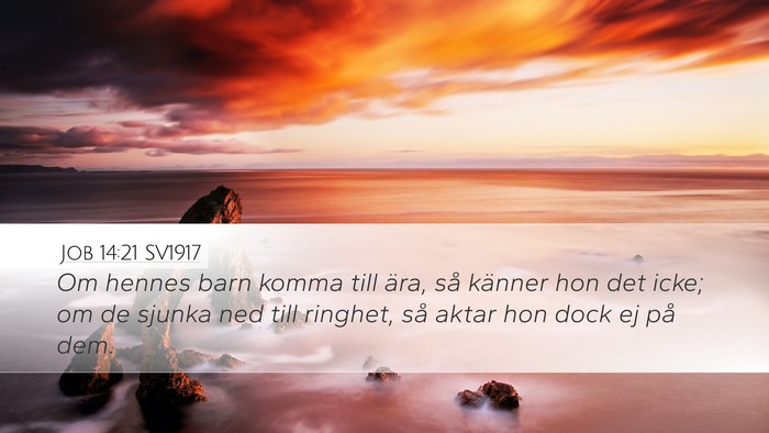 Job 14:21 SV1917 Bible Verse Image