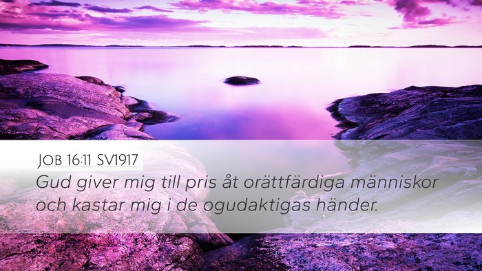 Job 16:11 SV1917 Bible Verse Image