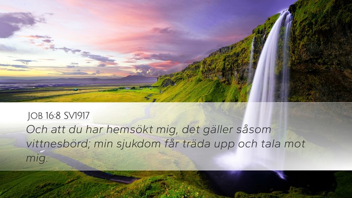 Job 16:8 SV1917 Bible Verse Image