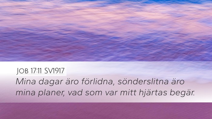 Job 17:11 SV1917 Bible Verse Image