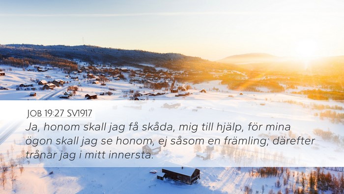 Job 19:27 SV1917 Bible Verse Image