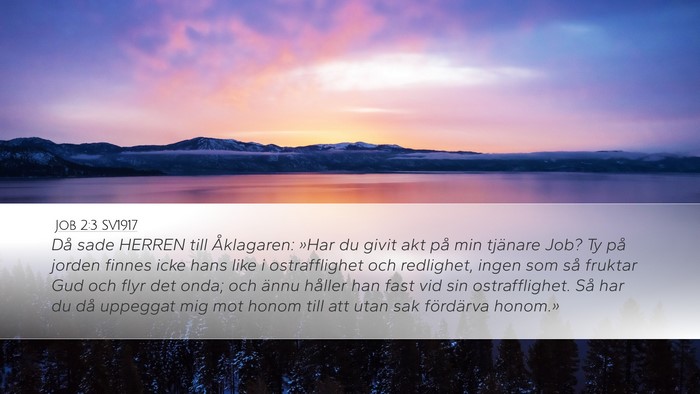 Job 2:3 SV1917 Bible Verse Image