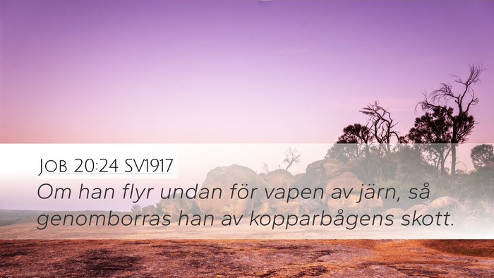 Job 20:24 SV1917 Bible Verse Image