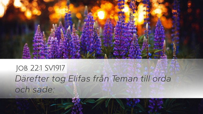 Job 22:1 SV1917 Bible Verse Image