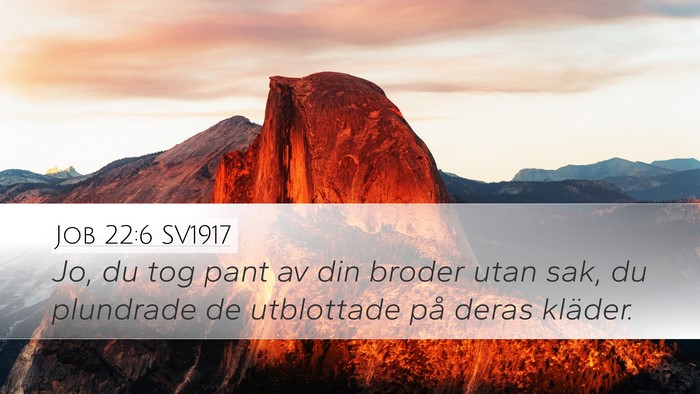 Job 22:6 SV1917 Bible Verse Image