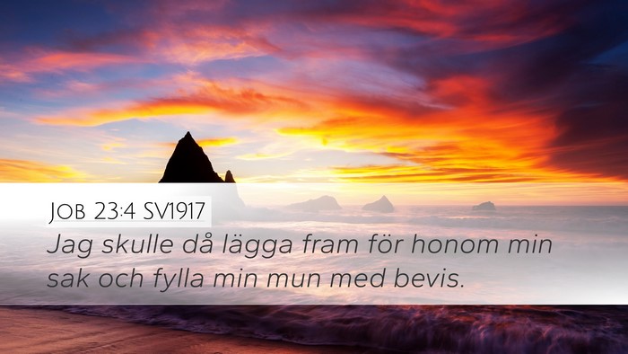Job 23:4 SV1917 Bible Verse Image