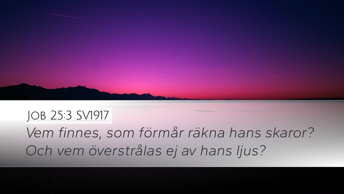 Job 25:3 SV1917 Bible Verse Image