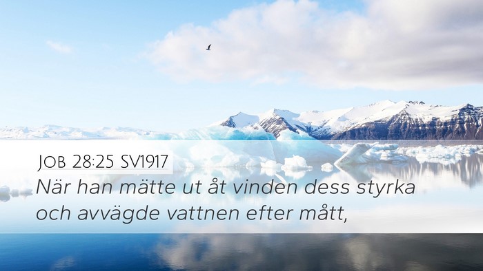 Job 28:25 SV1917 Bible Verse Image