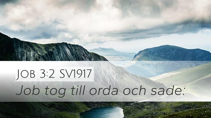 Job 3:2 SV1917 Desktop Wallpaper - Job tog till orda och - Desktop Bible Verse Wallpaper