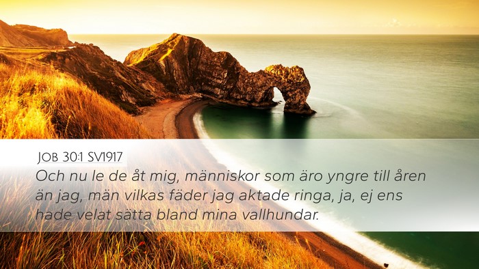 Job 30:1 SV1917 Bible Verse Image