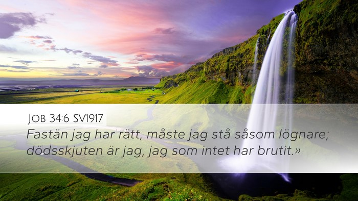 Job 34:6 SV1917 Bible Verse Image