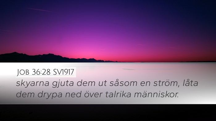 Job 36:28 SV1917 Bible Verse Image