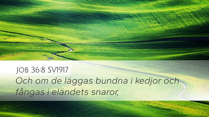 Job 36:8 SV1917 Bible Verse Image
