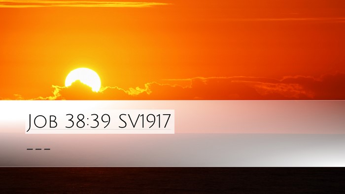 Job 38:39 SV1917 Bible Verse Image