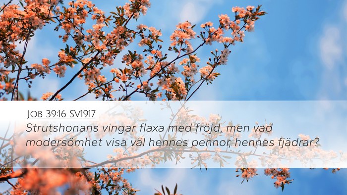Job 39:16 SV1917 Bible Verse Image