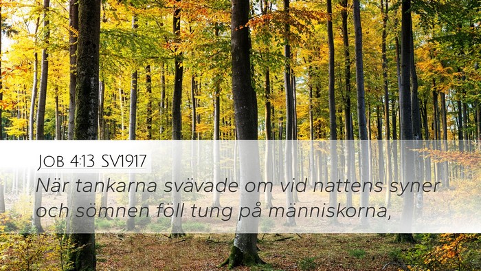 Job 4:13 SV1917 Bible Verse Image