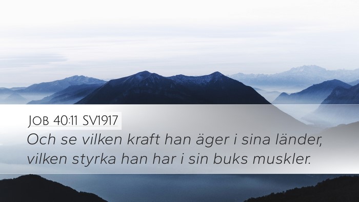 Job 40:11 SV1917 Bible Verse Image