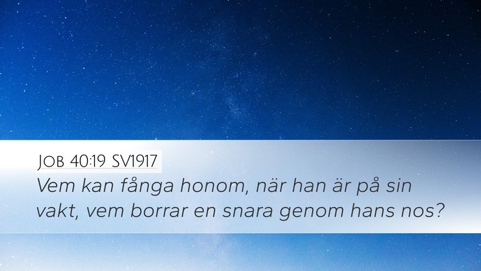 Job 40:19 SV1917 Desktop Wallpaper - Vem kan fånga honom, när han är på sin vakt, - Desktop Bible Verse Wallpaper