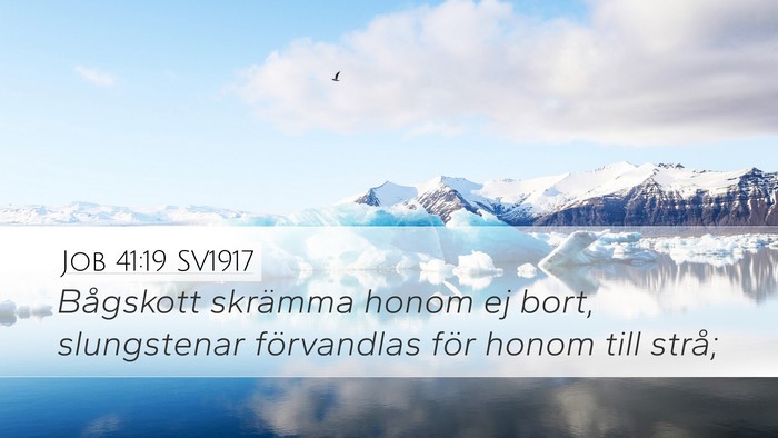 Job 41:19 SV1917 Desktop Wallpaper - Bågskott skrämma honom ej bort, slungstenar - Desktop Bible Verse Wallpaper