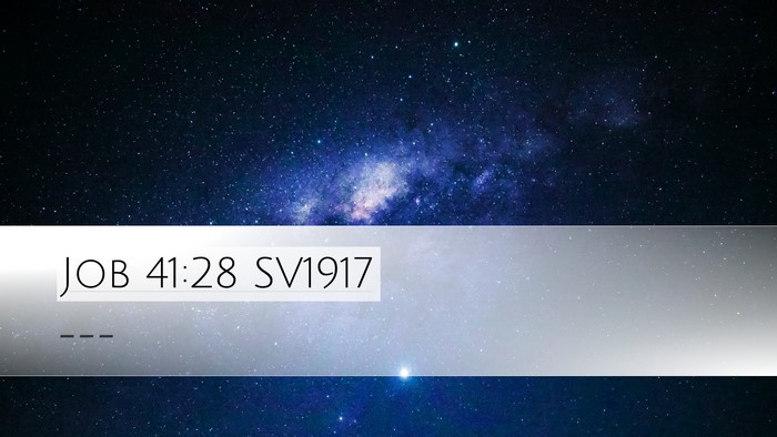 Job 41:28 SV1917 Bible Verse Image