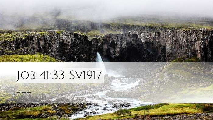 Job 41:33 SV1917 Bible Verse Image