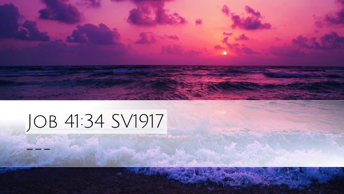 Job 41:34 SV1917 Bible Verse Image