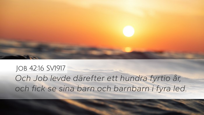 Job 42:16 SV1917 Bible Verse Image