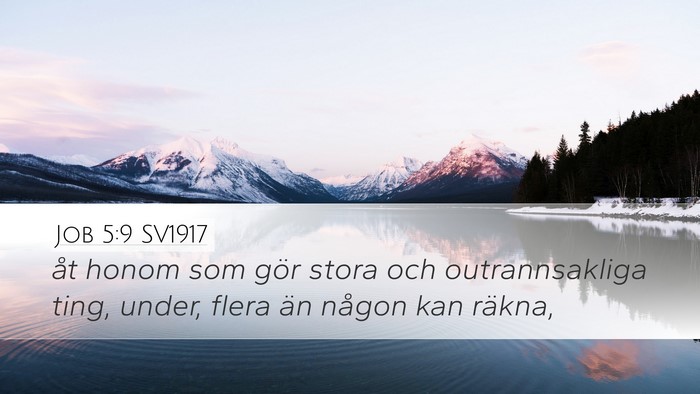 Job 5:9 SV1917 Bible Verse Image