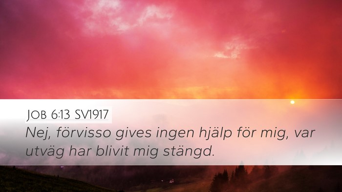 Job 6:13 SV1917 Bible Verse Image