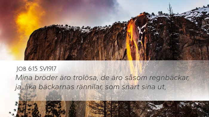 Job 6:15 SV1917 Bible Verse Image