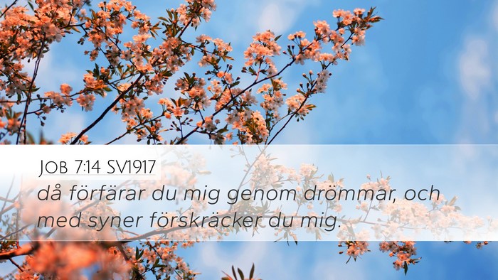 Job 7:14 SV1917 Bible Verse Image