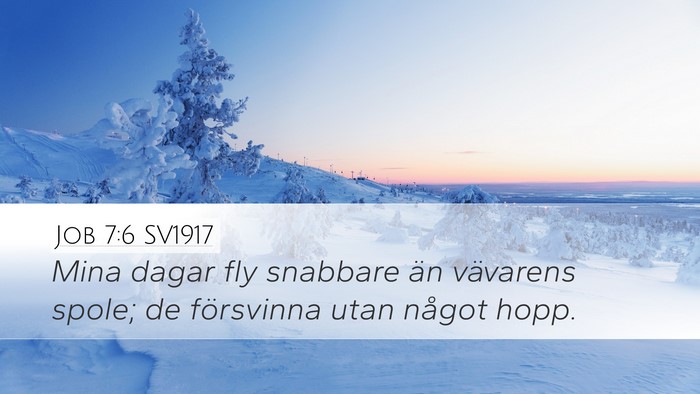 Job 7:6 SV1917 Bible Verse Image