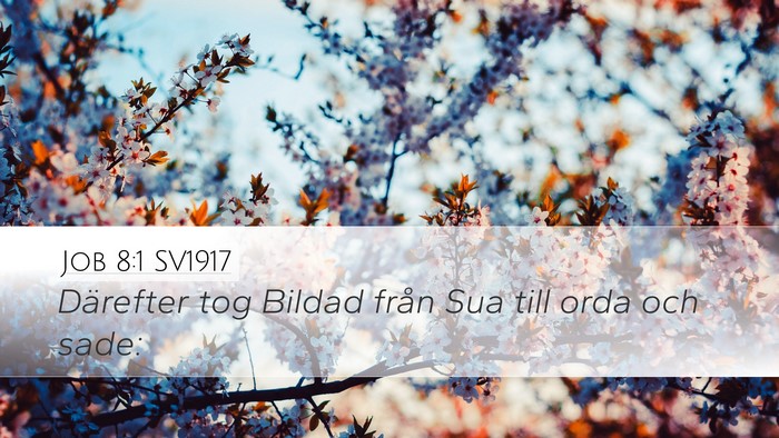 Job 8:1 SV1917 Bible Verse Image