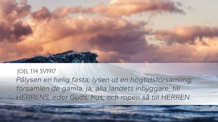 Joel 1:14 SV1917 Bible Verse Image