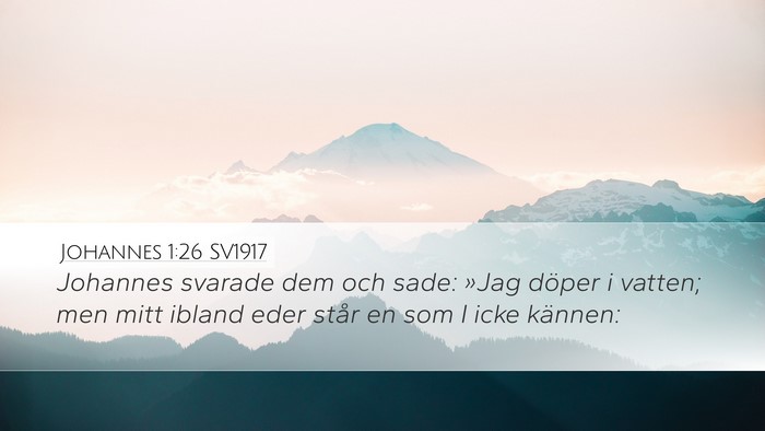 Johannes 1:26 SV1917 Bible Verse Image