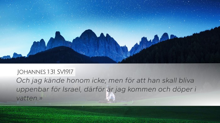 Johannes 1:31 SV1917 Bible Verse Image