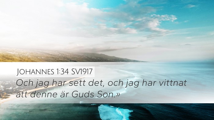 Johannes 1:34 SV1917 Bible Verse Image
