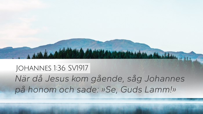 Johannes 1:36 SV1917 Bible Verse Image