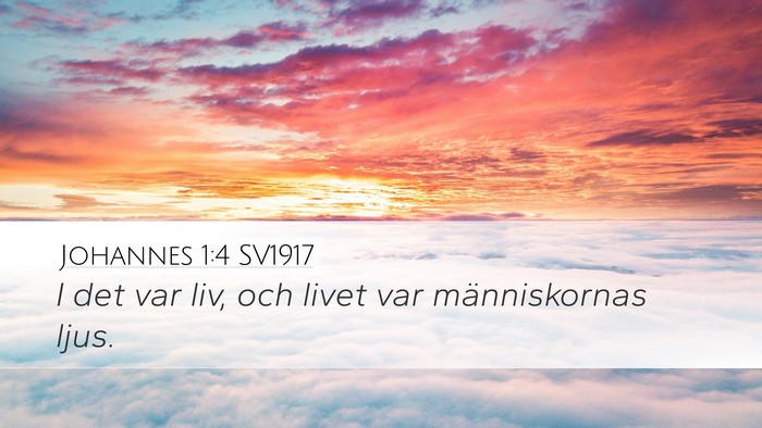 Johannes 1:4 SV1917 Bible Verse Image