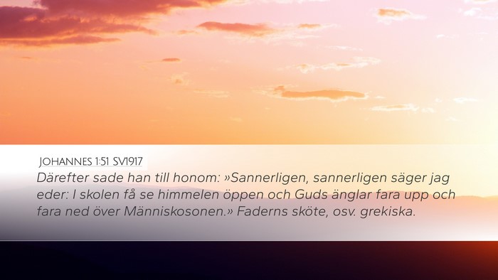Johannes 1:51 SV1917 Bible Verse Image