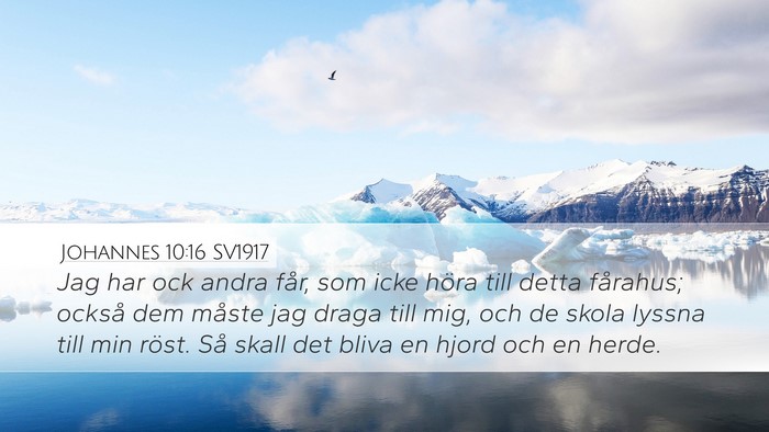 Johannes 10:16 SV1917 Bible Verse Image