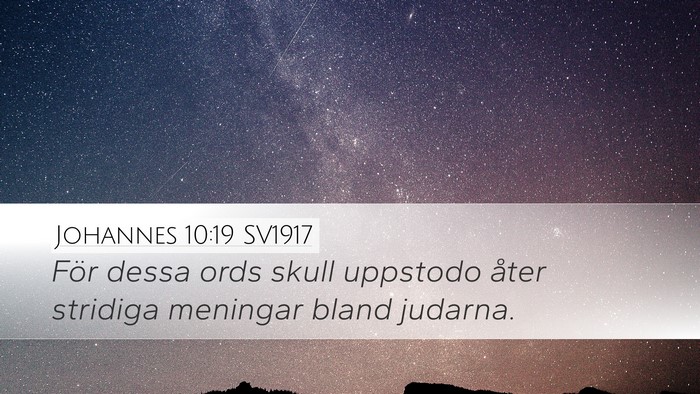 Johannes 10:19 SV1917 Bible Verse Image