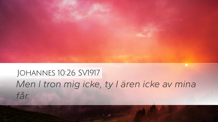 Johannes 10:26 SV1917 Bible Verse Image