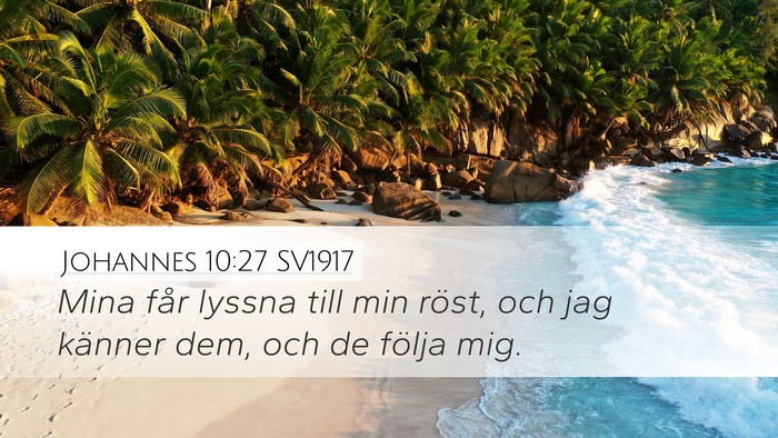Johannes 10:27 SV1917 Bible Verse Image