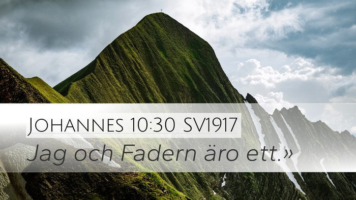 Johannes 10:30 SV1917 Bible Verse Image