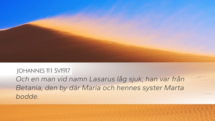 Johannes 11:1 SV1917 Bible Verse Image
