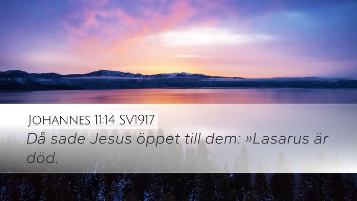 Johannes 11:14 SV1917 Desktop Wallpaper - Då sade Jesus öppet till dem: »Lasarus är - Desktop Bible Verse Wallpaper