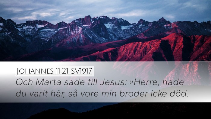 Johannes 11:21 SV1917 Desktop Wallpaper - Och Marta sade till Jesus: »Herre, hade du varit - Desktop Bible Verse Wallpaper