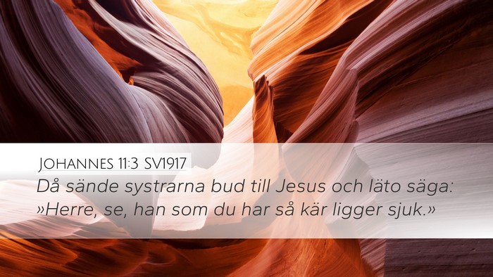 Johannes 11:3 SV1917 Bible Verse Image